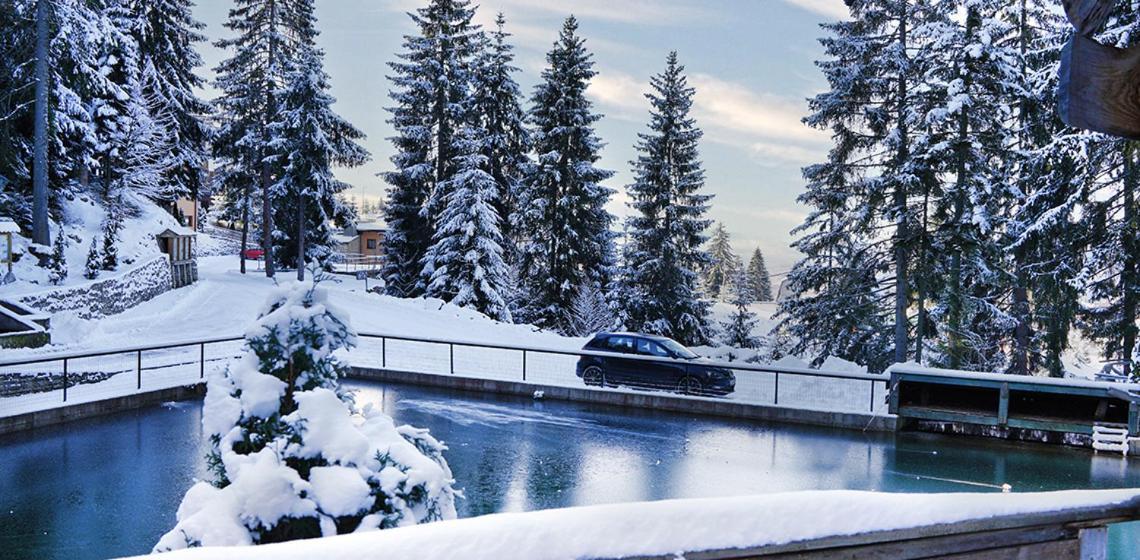 Eko-Fis Vlasic Oda fotoğraf