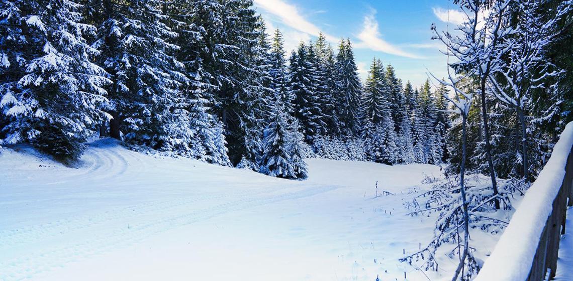 Eko-Fis Vlasic Oda fotoğraf