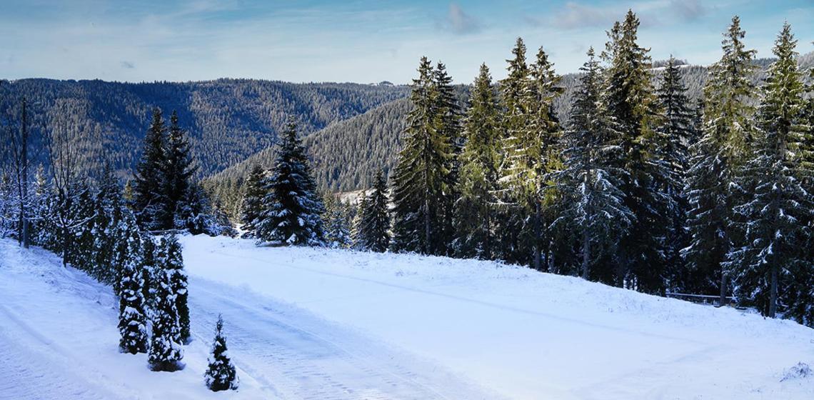 Eko-Fis Vlasic Oda fotoğraf